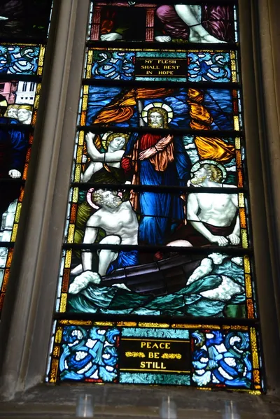 DSC_5616 (Large).JPG